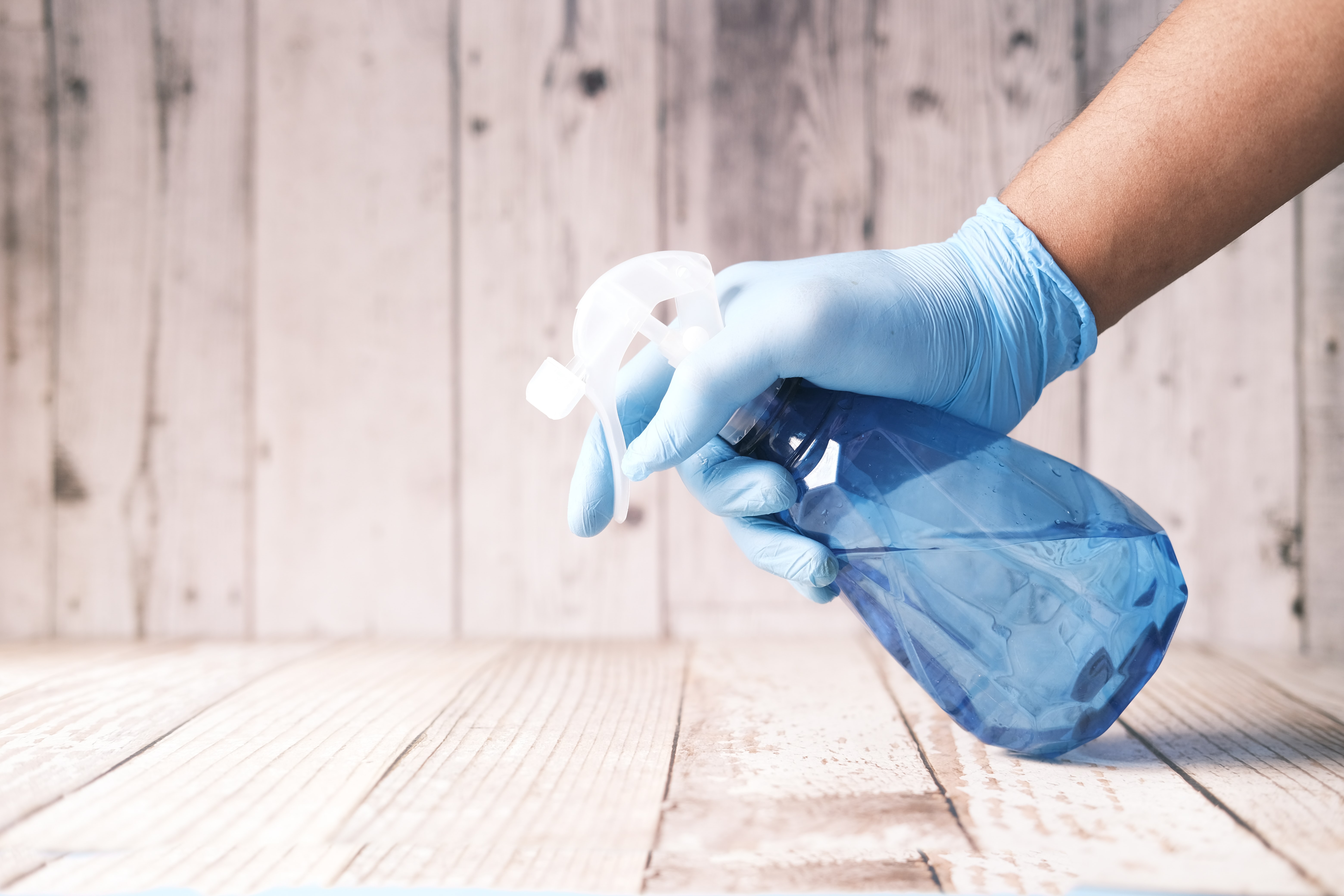 🧹 Quarterly home deep cleaning 